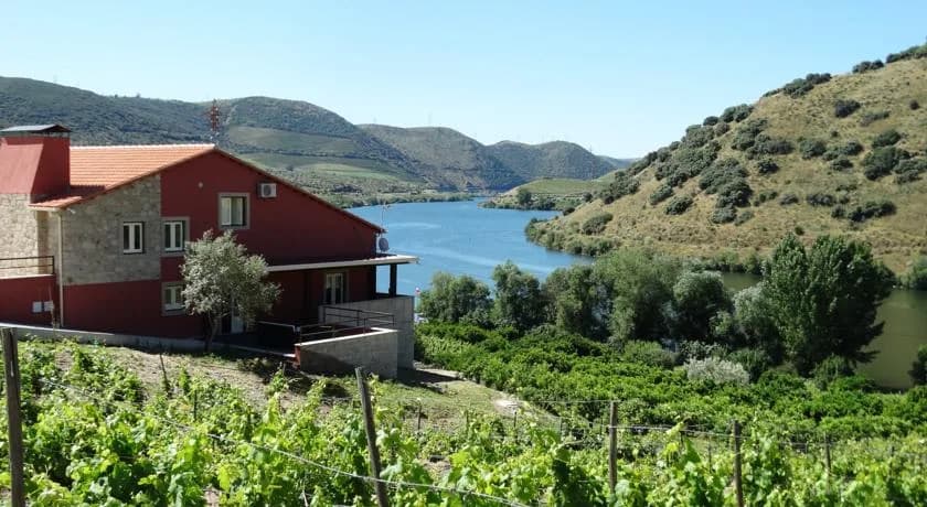 Olhares do Douro