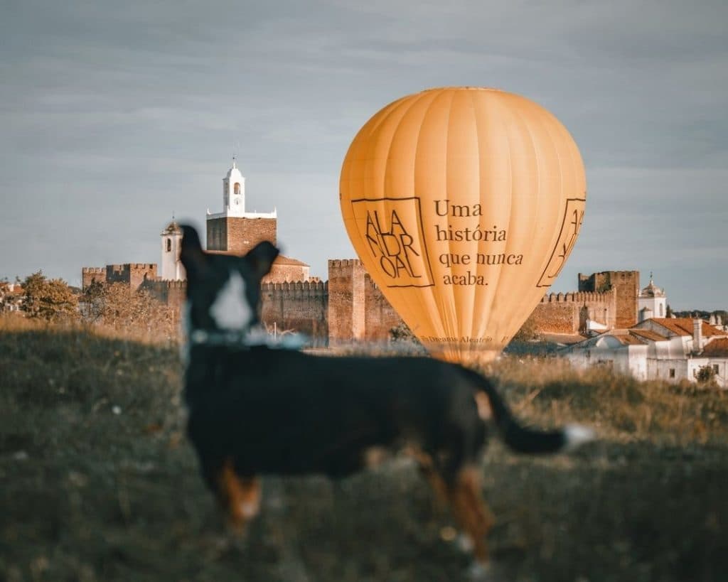 fly dreams alentejo