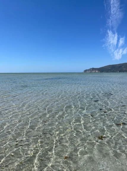 Sea Dreams