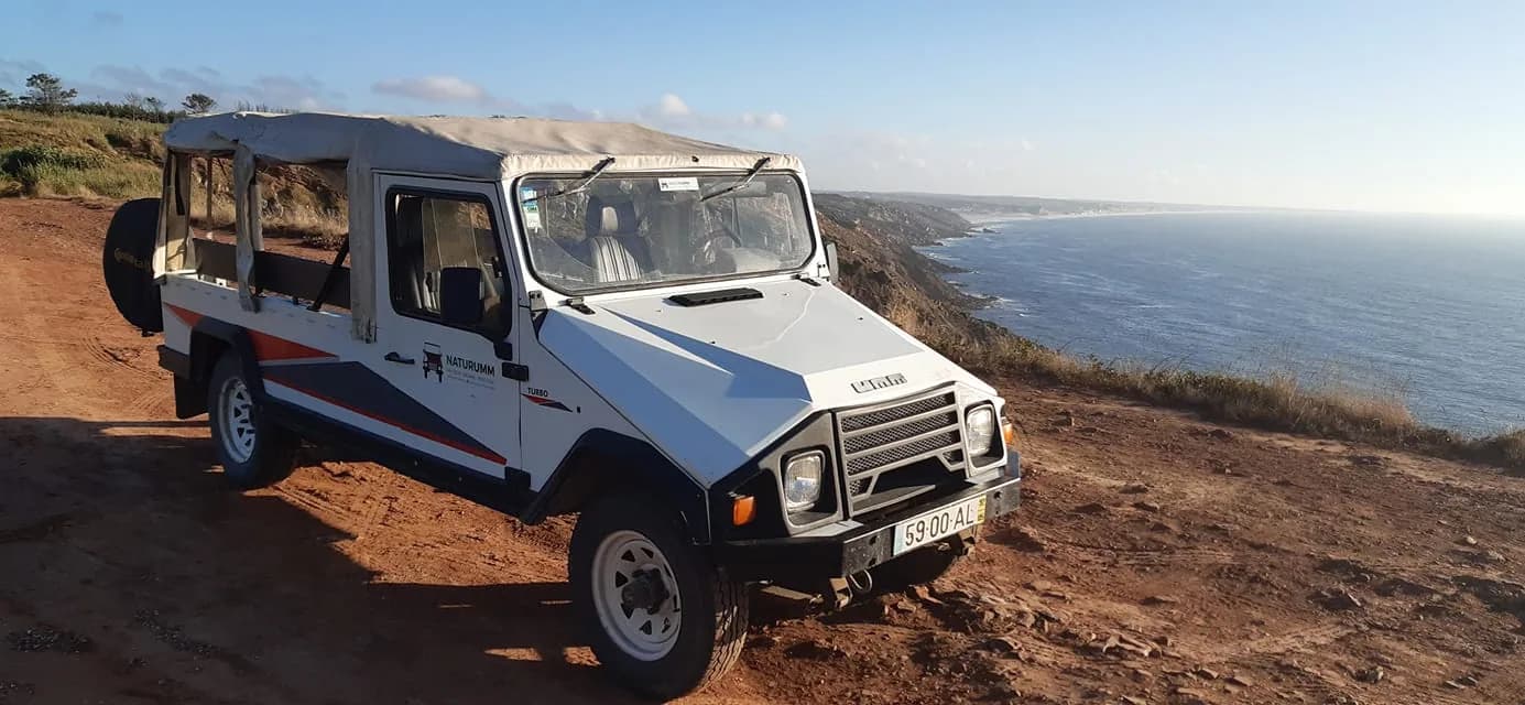 media