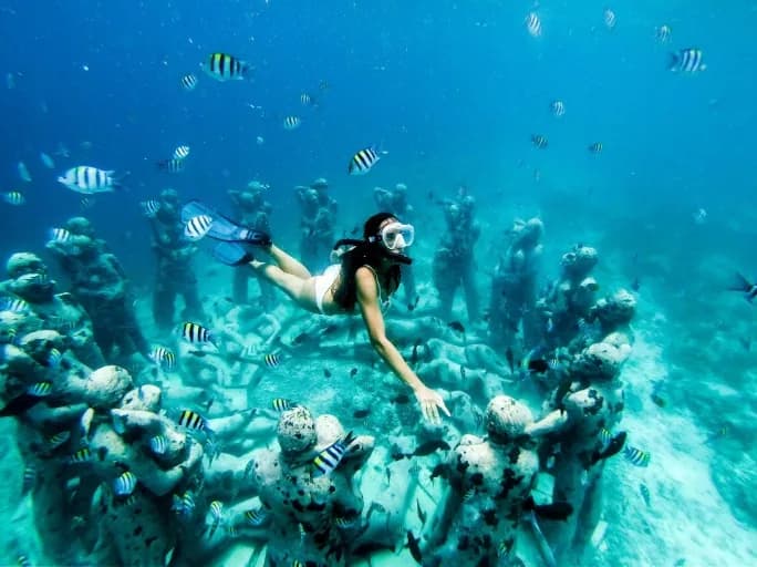 media